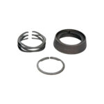 AR15 Delta Ring Assembly